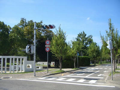 park2.jpg