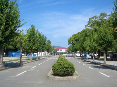 park8.jpg