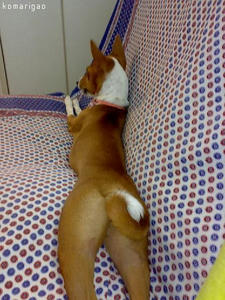 20080829.jpg