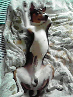 200906211441001.jpg
