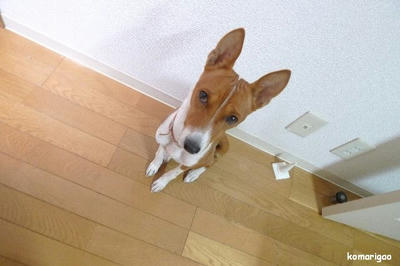 P1020907.JPG