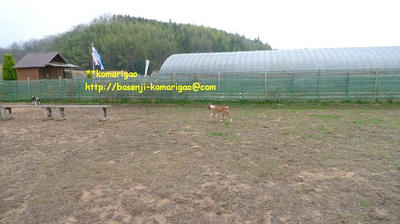 P1040008.JPG