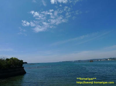 P1070177.JPG