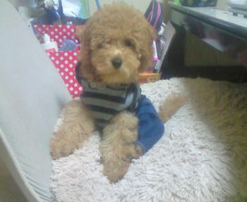 200809300824000.jpg