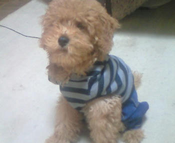 200809300830000.jpg