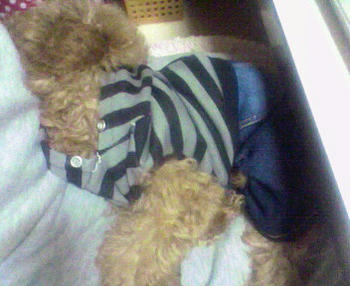 200809300847000.jpg