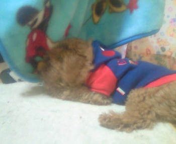 200810030830000.jpg