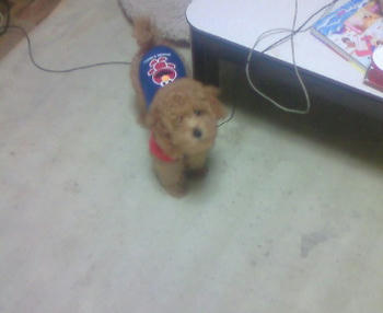 200810030839002.jpg
