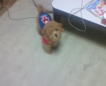 200810030839000.jpg