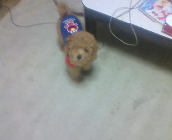 200810030839001.jpg