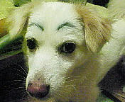 200607102002000.jpg