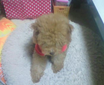 200810030836000.jpg