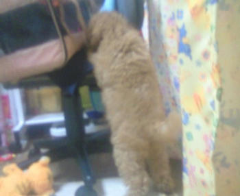 200810081642000.jpg