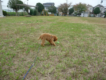 P1000199.JPG