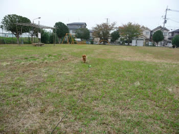 P1000200.JPG