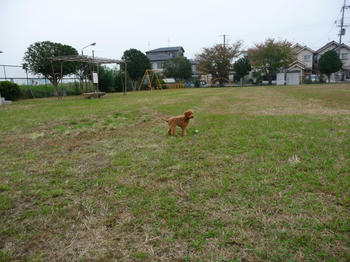 P1000201.JPG