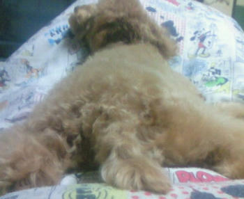 200810302043000.jpg