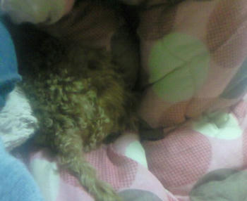 200811111534000.jpg
