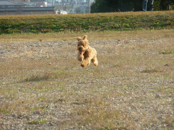 P1000454.JPG