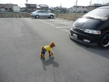 P1000747.JPG