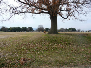 P1000750.JPG