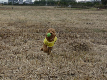 P1000753.JPG