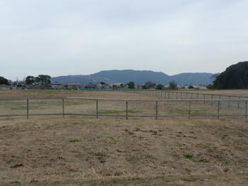 P1000760.JPG