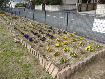 P1000810.JPGppc.jpg