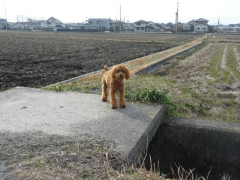P1000822.JPGppc.jpg