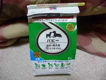 P1010064.JPG