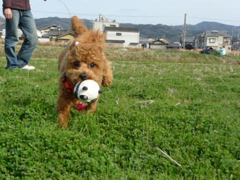 P1010150.JPG