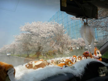 P1010734.JPG