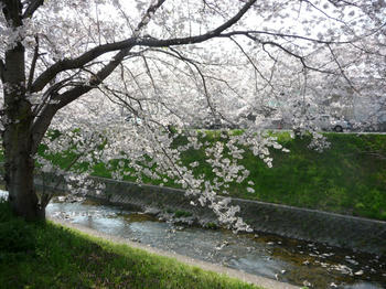 P1010756.JPG