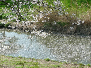 P1010764.JPG