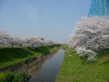P1010765.JPG