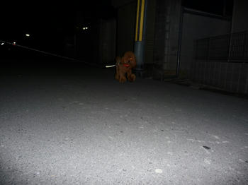 P1020115.JPG