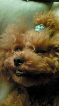 200909031405000.jpg