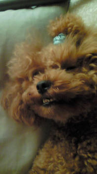 200909031406000.jpg