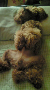 200909031406001.jpg