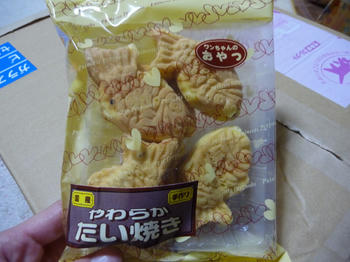 P1020850.JPG