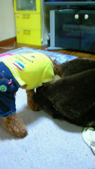 201002022228000.jpg