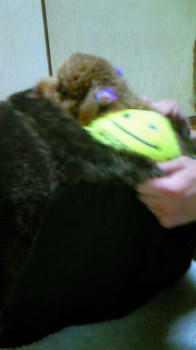 201002022230000.jpg