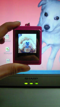 201002022336000.jpg