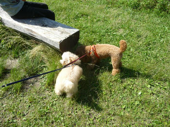 P1030014kk.jpg