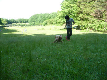 P1030018kk.jpg