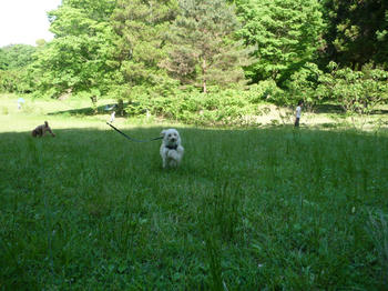 P1030020kk.jpg