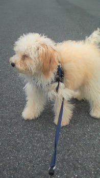 201006251006001.jpg