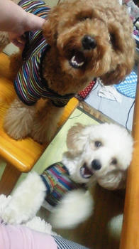2010092020500000.jpg