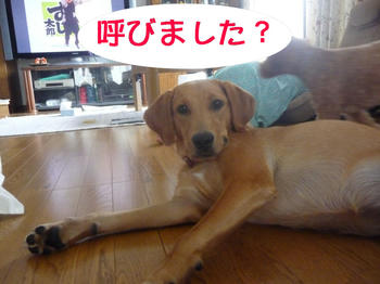 b8e5455f.jpg