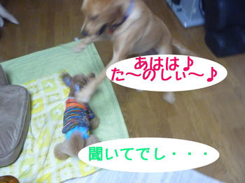 9a21582b.jpg